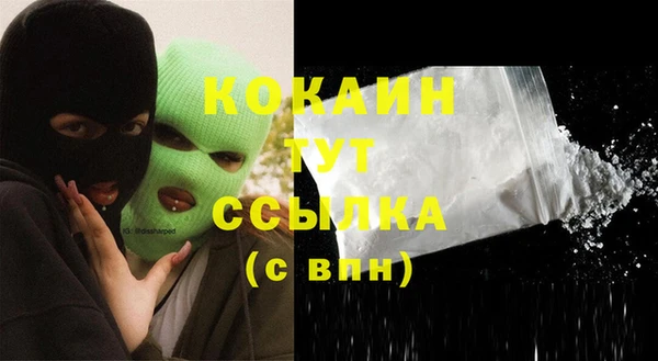 твердый Арсеньев