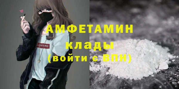твердый Арсеньев