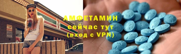 сатива Армянск