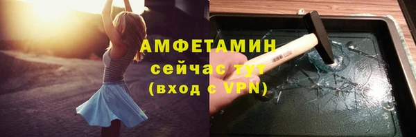 сатива Армянск