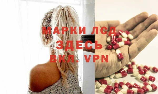твердый Арсеньев