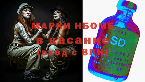 твердый Арсеньев