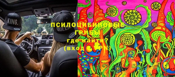 твердый Арсеньев