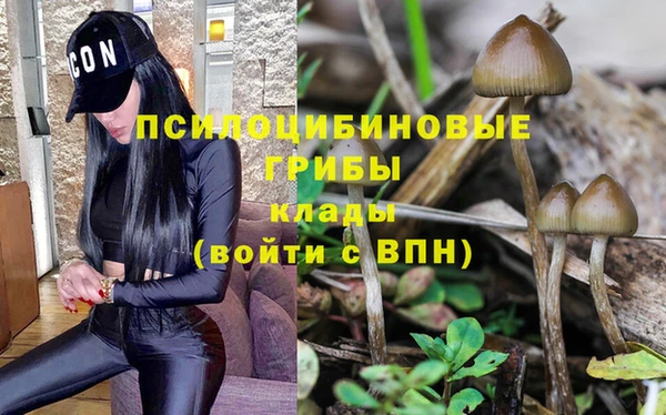 гидра Аркадак