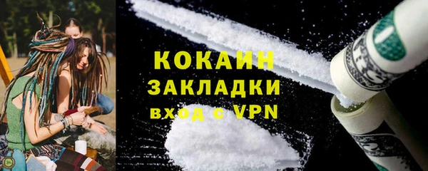 твердый Арсеньев