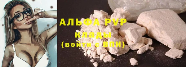 твердый Арсеньев