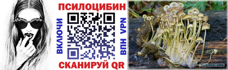 даркнет сайт  Дно  даркнет состав  Псилоцибиновые грибы Cubensis 