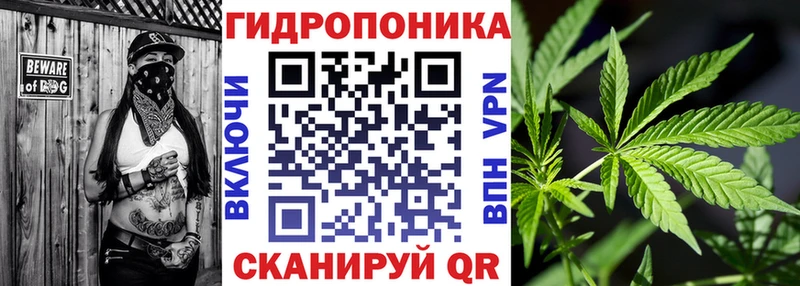 где можно купить Дно Шишки марихуана индика